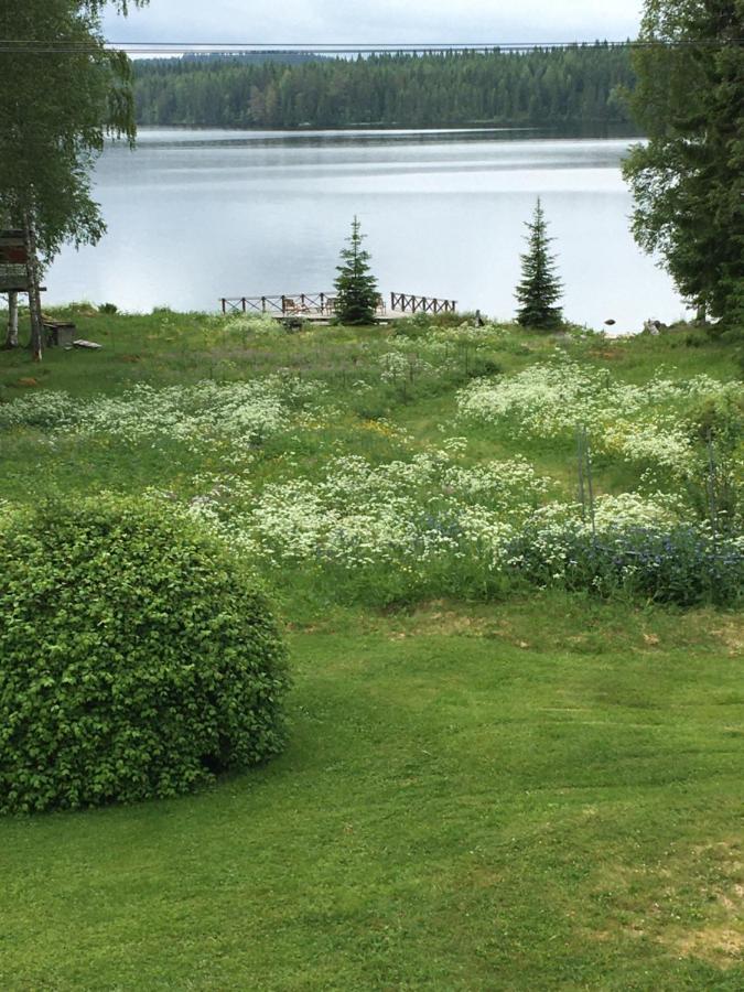 Historic Lakeside Villa - Ski, Boat, Relax In Nature Sunnansjo  エクステリア 写真